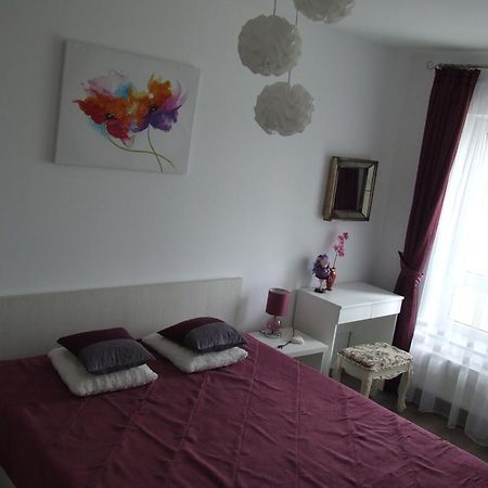 Anca Apartment Braşov Exterior foto