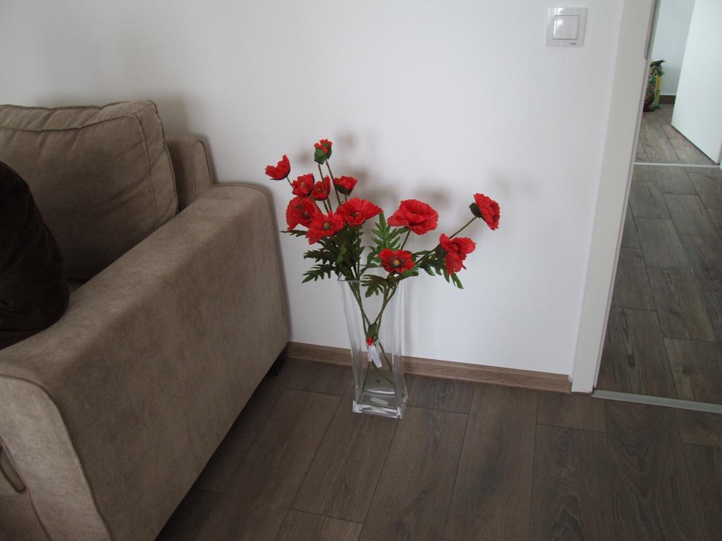 Anca Apartment Braşov Exterior foto
