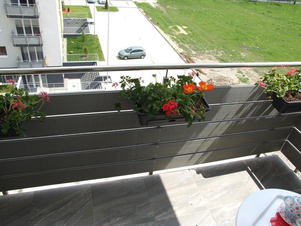 Anca Apartment Braşov Exterior foto