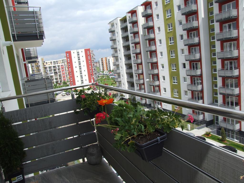 Anca Apartment Braşov Exterior foto
